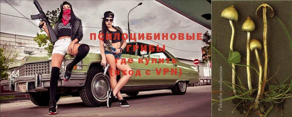 бошки Медногорск
